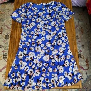 Banana Republic Blue White Pink Daisy Floral Dress